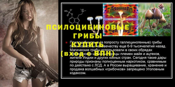 а пвп мука Няндома