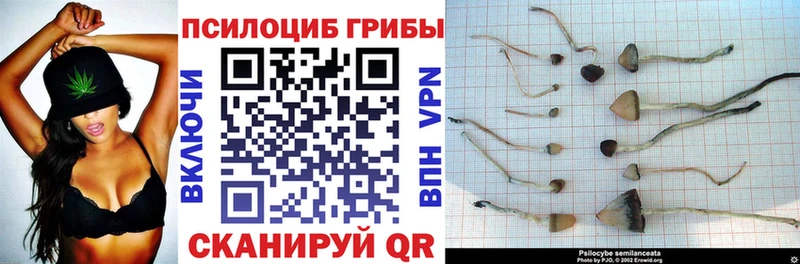 купить  сайты  гидра зеркало  Галлюциногенные грибы Magic Shrooms  Анадырь 